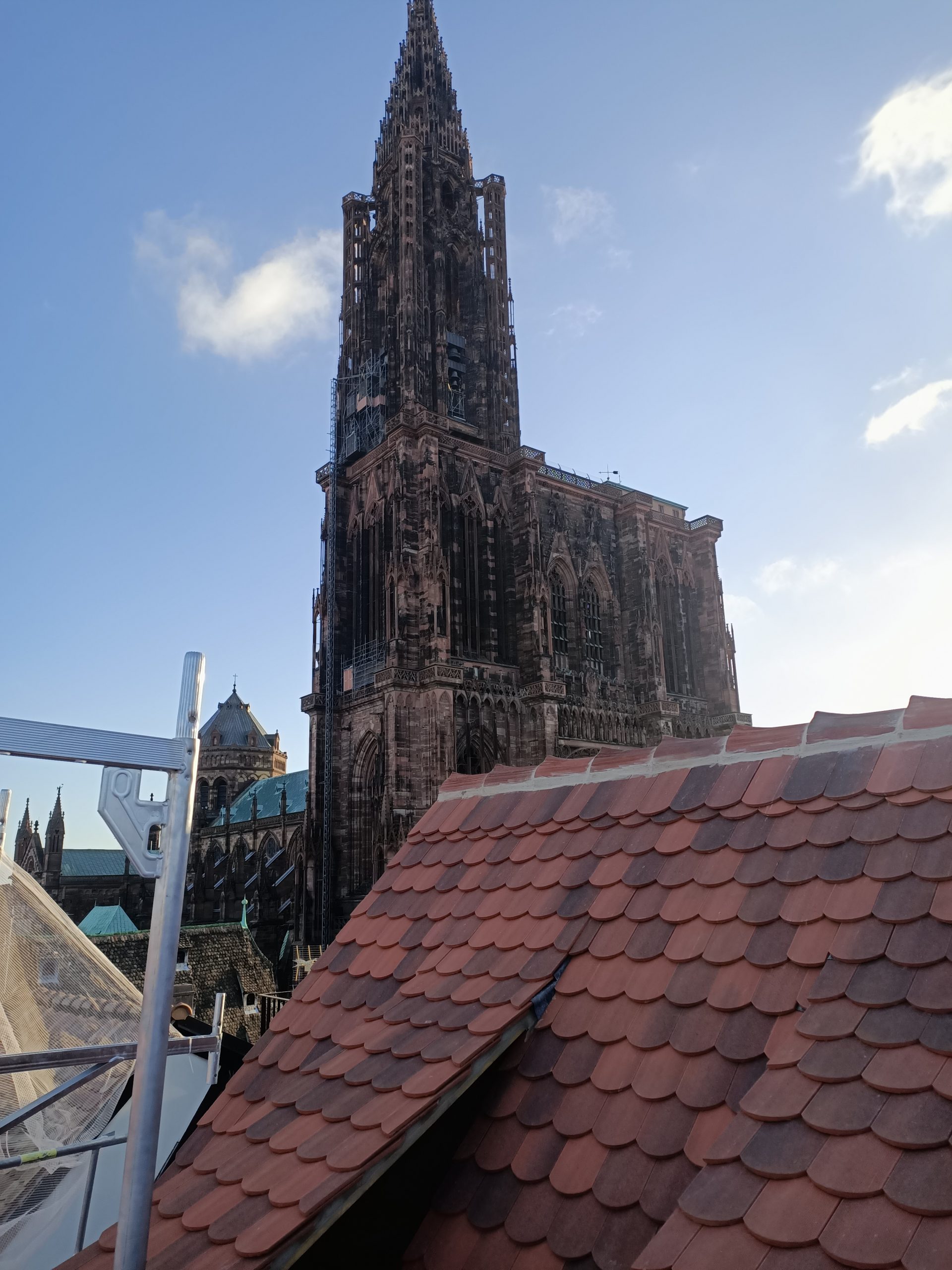 Cathédrale de strasbourg vue d'un toit en tuile plate